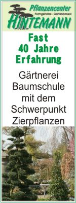 Hintemann