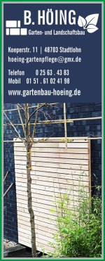Höing