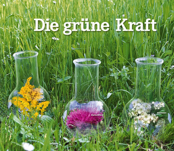heilpflanzen