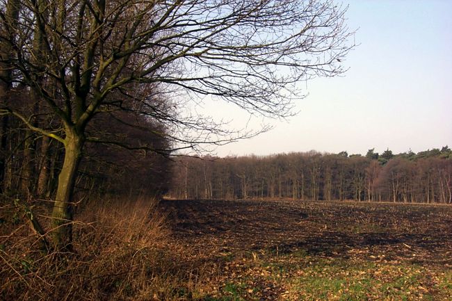 Blick ber einen groen Acker