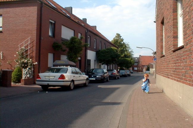Die Baumkronen wachsen bis an die Hauswnde
