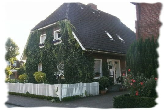 Die Giebelwand dieses Hauses ist komplett mit Efeu zugewachsen