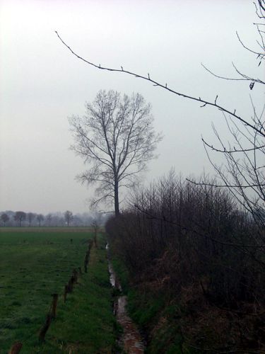 Ein Wassergraben zwischen den Feldern