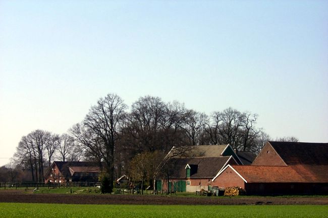 Blick auf einen Bauernhof