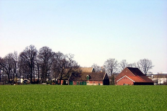 Blick auf einen Bauernhof