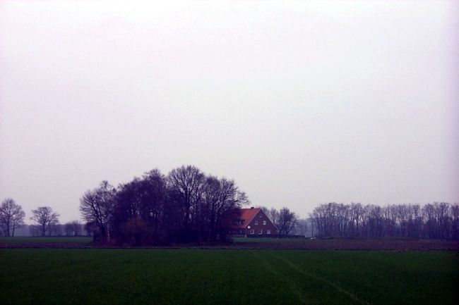 Die Waldstcke sind kahl. Es ist Herbst