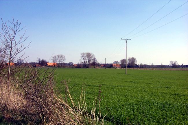 Hinter den Feldern sind mehrere Bauernh�fe zu erkennen