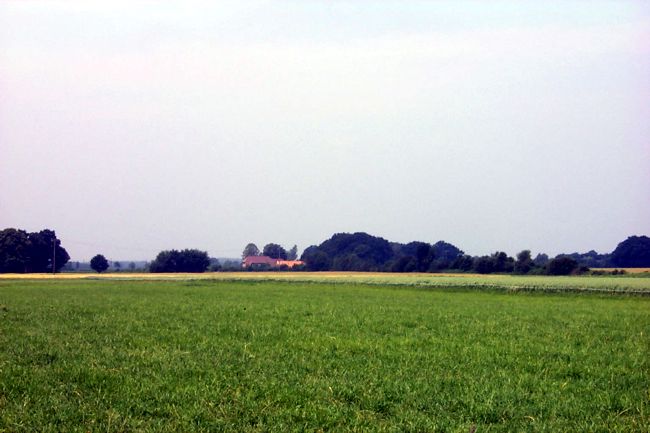 Groe, blhende Felder