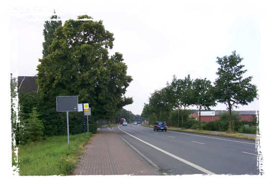 Eine Bushaltestelle an der Eschstrae