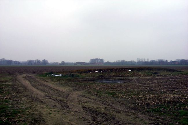 Fahrspuren auf eine Feld
