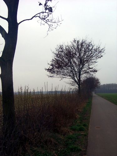 Bume und Struche entlang der Landstrae