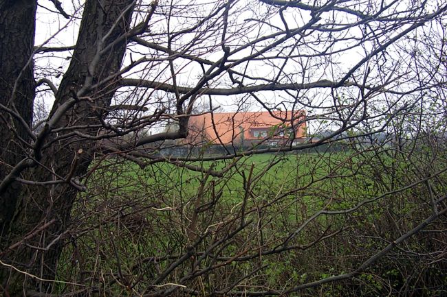 Ein Blick durch Ge�st auf ein Wohnhaus