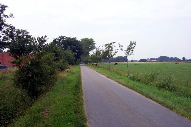 Khe grasen auf der Weide