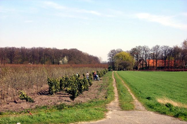 Grtner bei der Arbeit