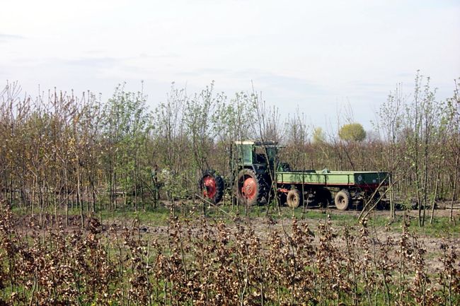 Ein Traktor mitten im Feld