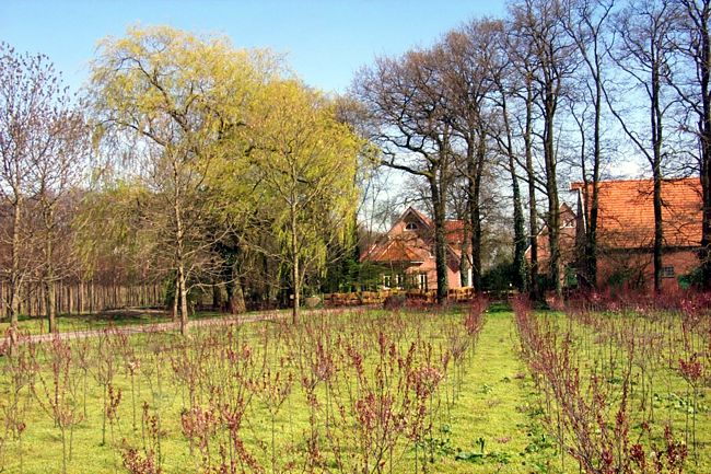 Eine kleine Baumschule vor dem Bauernhof