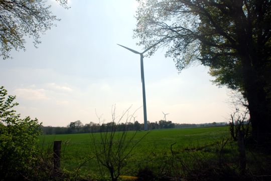 Blick ber einen Feldweg auf eine Windkraftanlage