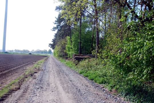 Blick ber einen Feldweg